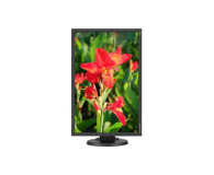 Nec MultiSync E245WMi czarny - 366148 - zdjęcie 4
